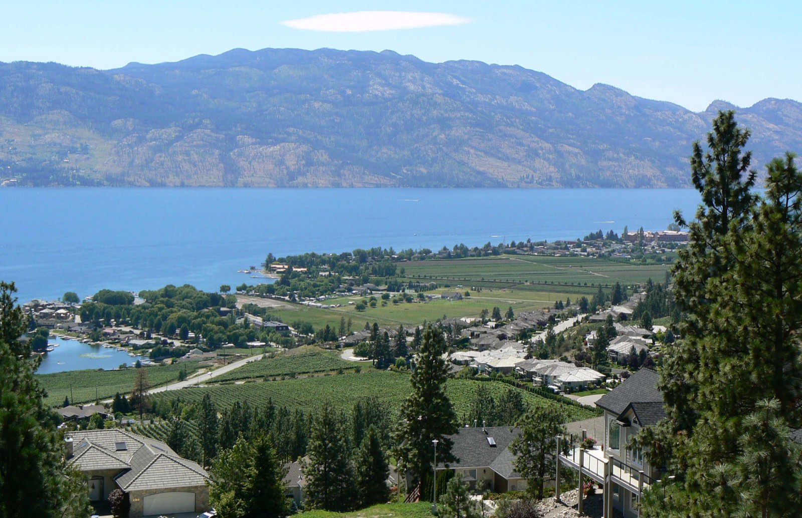 Hillside homes and vineyards above Gellatly Bay in West Kelowna, with Okanagan Lake and mountains beyond.